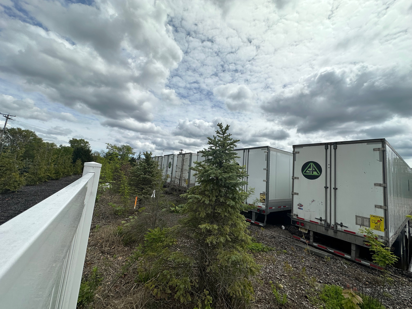 MicrosoftTeams-image (1)